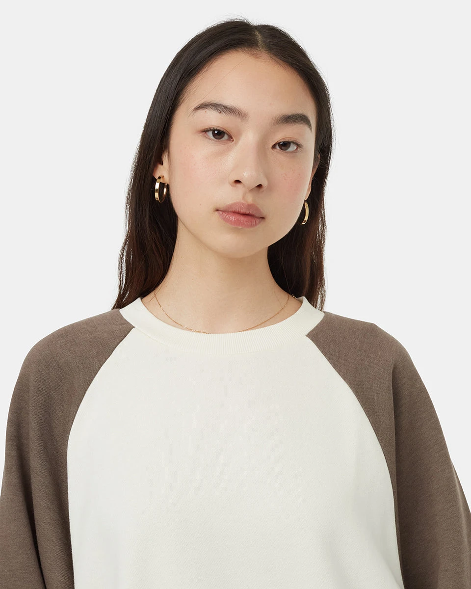 Tentree Treefleece Oversized Raglan Crew - Image 4