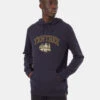 Tentree Collegiate Wolf Hoodie