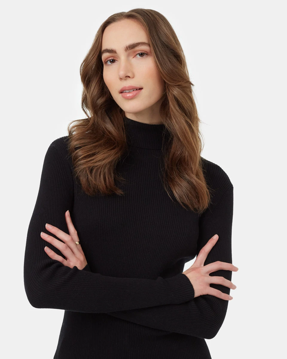 Tentree Highline Fine Gauge Turtleneck - Image 4