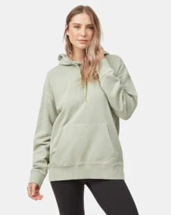 Tentree Organic French Terry Relaxed Hoodie