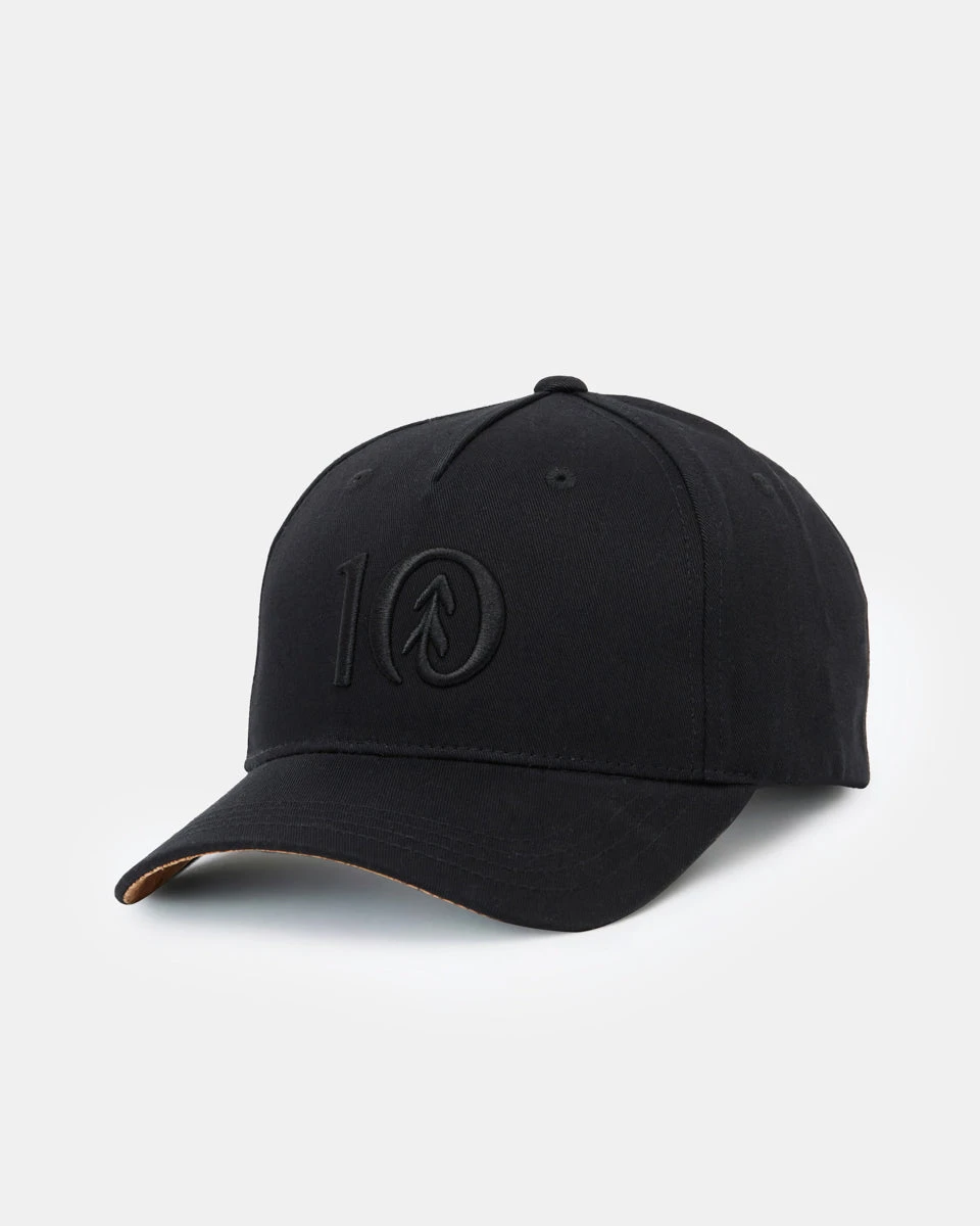 Tentree Logo Cork Brim Altitude Hat