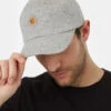 Tentree Sun Embroidery Fleck Jersey Peak Hat