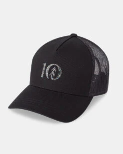 Tentree Recycled Logo Altitude Hat